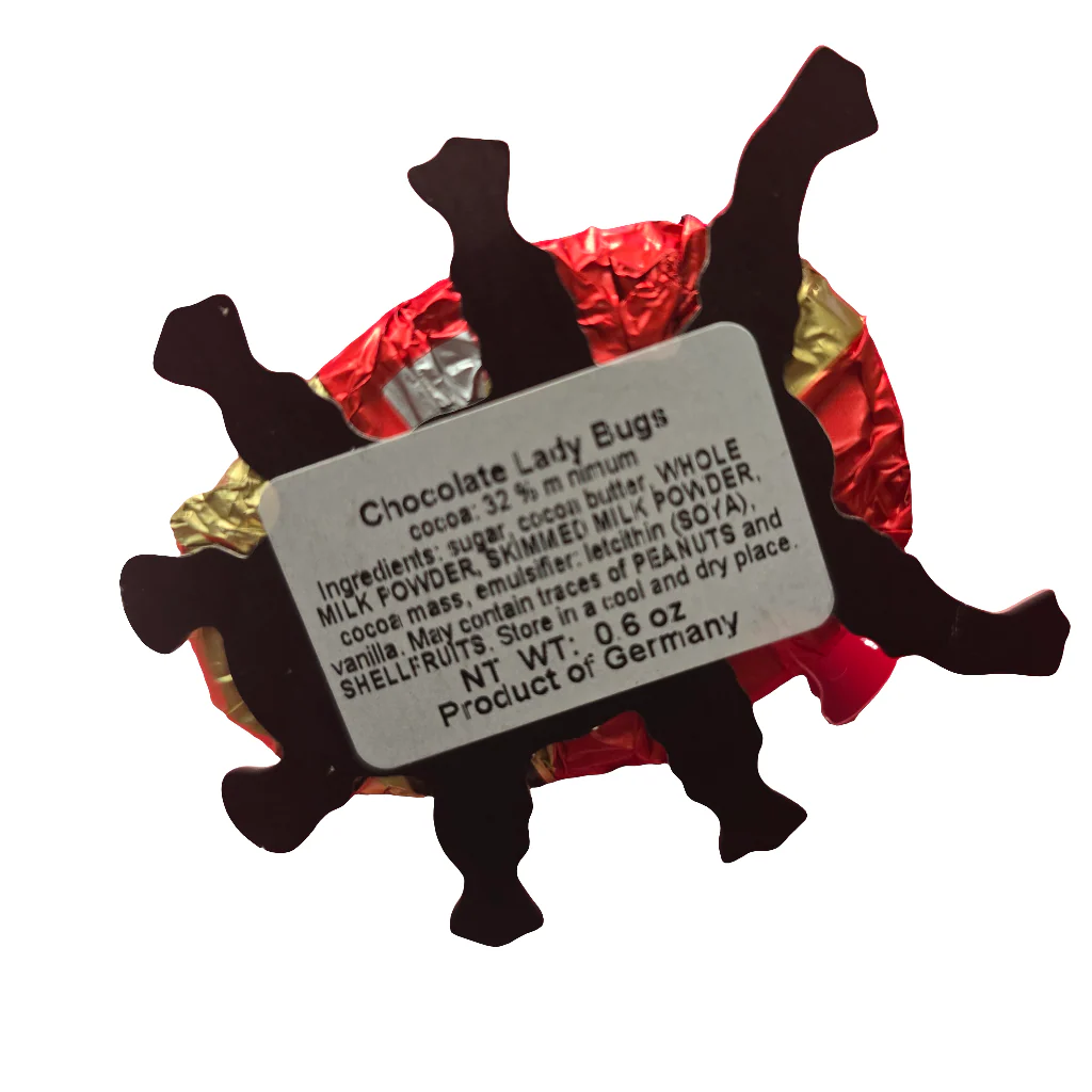 # Baur Chocolate Lady Bug Large 20 g - Image 2
