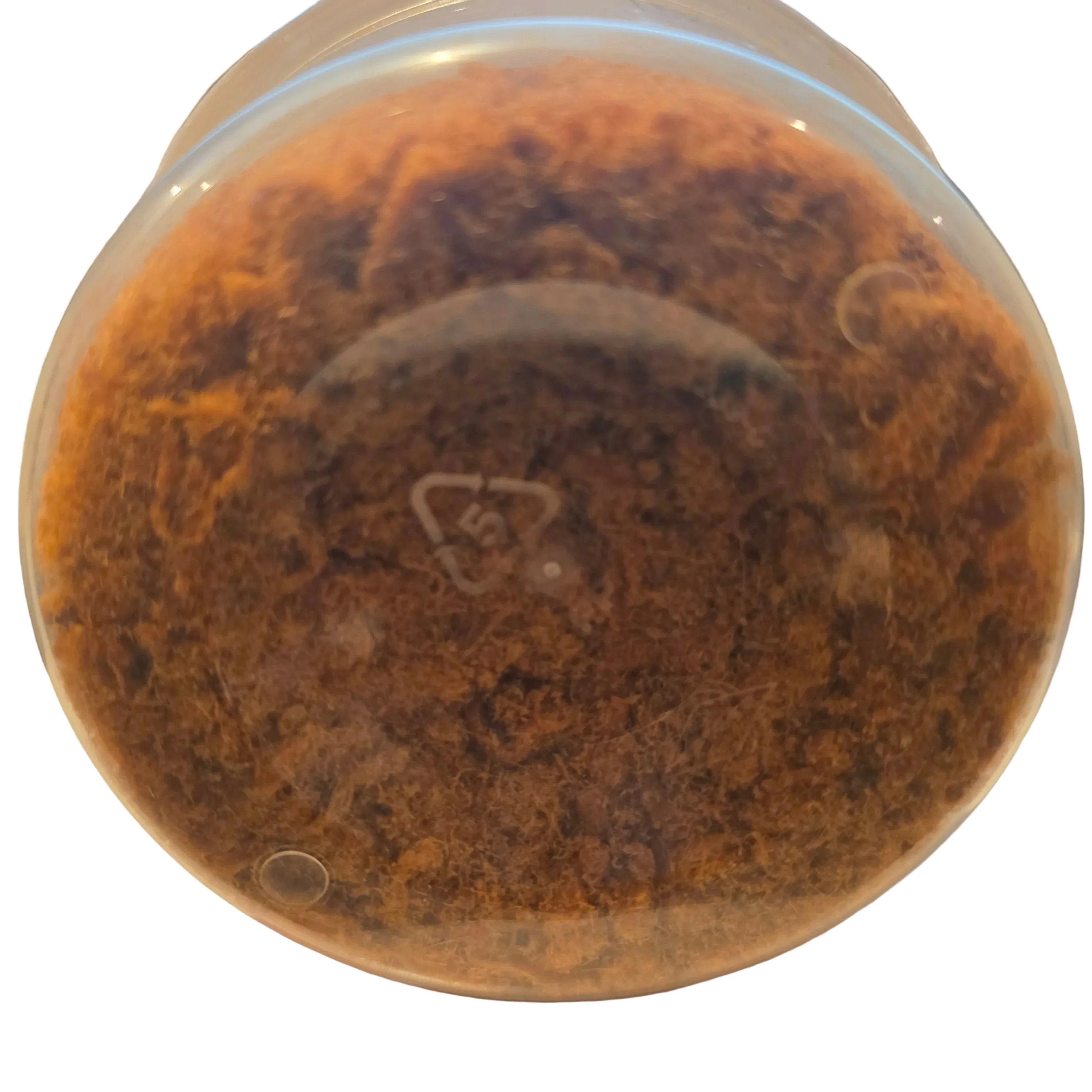 Chun Hwa Pork Sung 4 Oz - Image 2